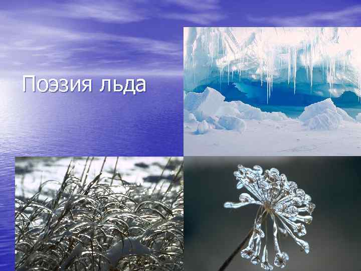 Поэзия льда 