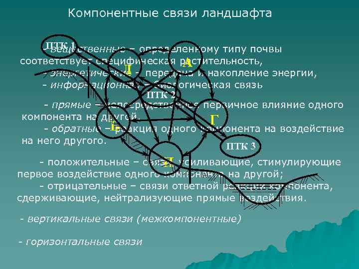 Природные компоненты ландшафта. Схемы взаимосвязей в ландшафтах.. Вертикальные связи в ландшафте. Межкомпонентные связи в ландшафте.