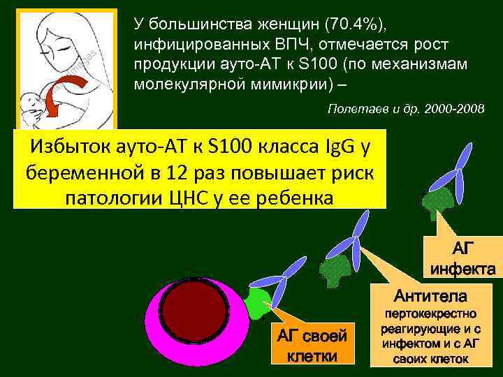 У большинства женщин (70. 4%), инфицированных ВПЧ, отмечается рост продукции ауто-АТ к S 100
