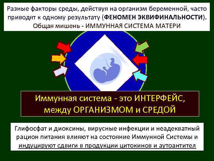 Разные факторы среды, действуя на организм беременной, часто приводят к одному результату (ФЕНОМЕН ЭКВИФИНАЛЬНОСТИ).