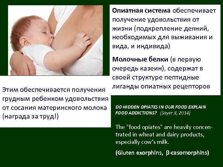 Опиатная система обеспечивает получение удовольствия от жизни (подкрепление деяний, необходимых для выживания и вида,