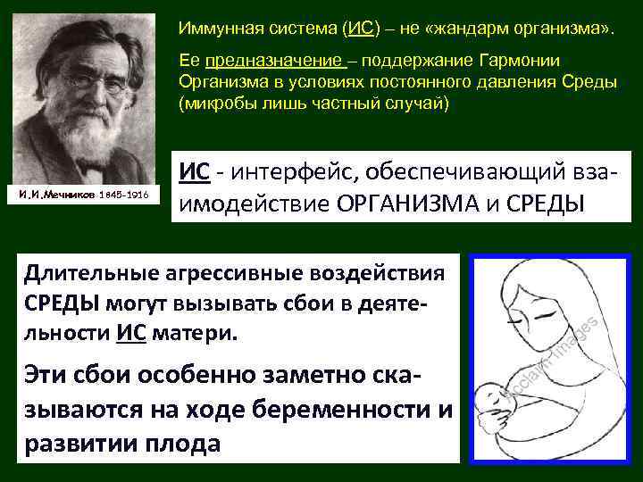 Иммунная система (ИС) – не «жандарм организма» . Ее предназначение – поддержание Гармонии Организма