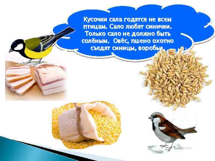 Кусочки сала годятся не всем птицам. Сало любят синички. Только сало не должно быть