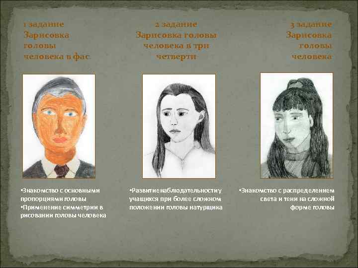 1 задание Зарисовка головы человека в фас • Знакомство с основными пропорциями головы •