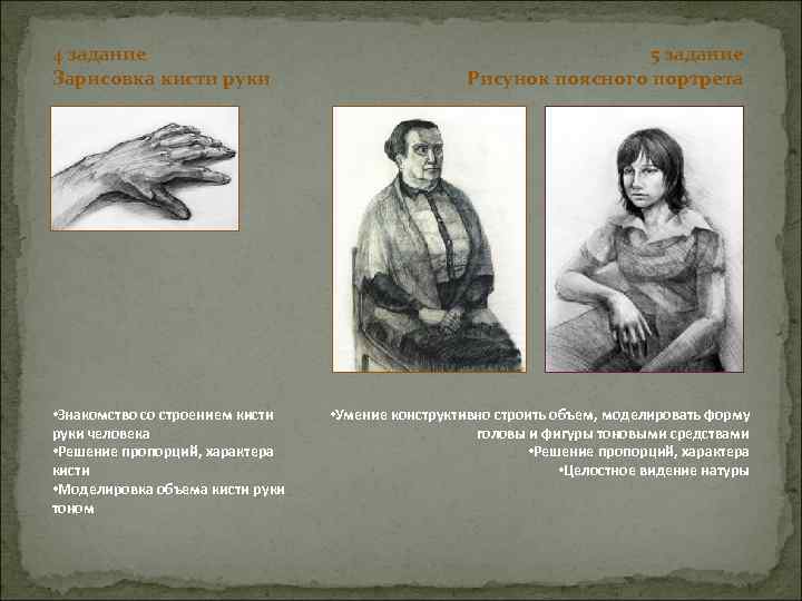 4 задание Зарисовка кисти руки • Знакомство со строением кисти руки человека • Решение