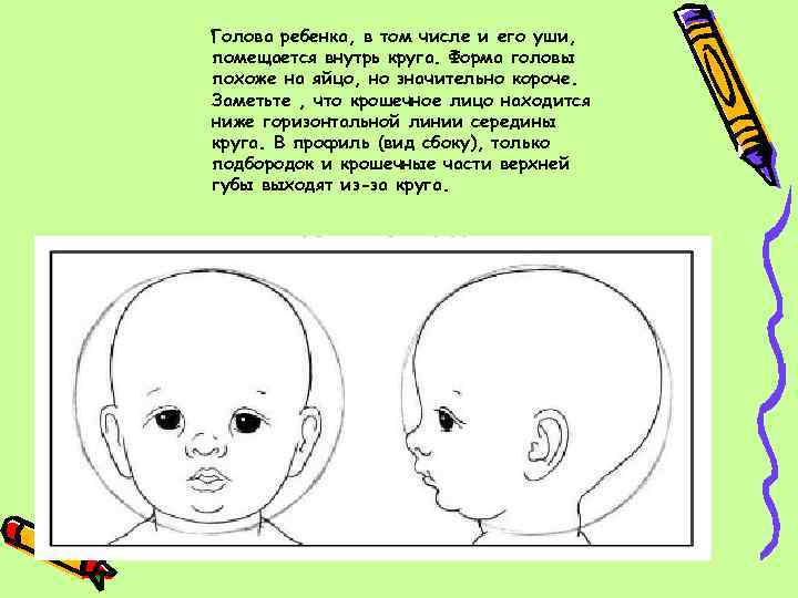 Голова ребенка, в том числе и его уши, помещается внутрь круга. Форма головы похоже