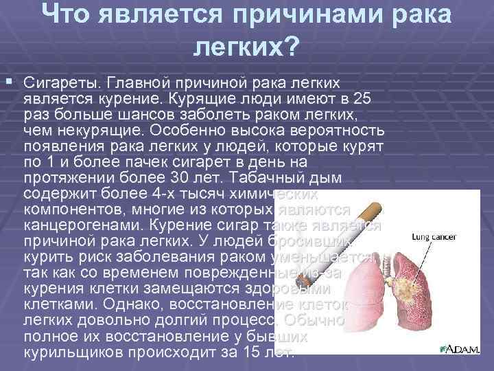 Что является причинами рака легких? § Сигареты. Главной причиной рака легких является курение. Курящие