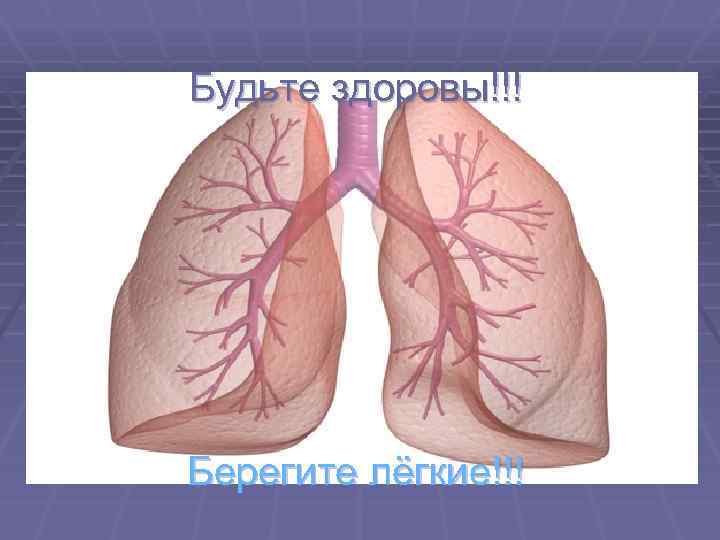 Будьте здоровы!!! Берегите лёгкие!!! 