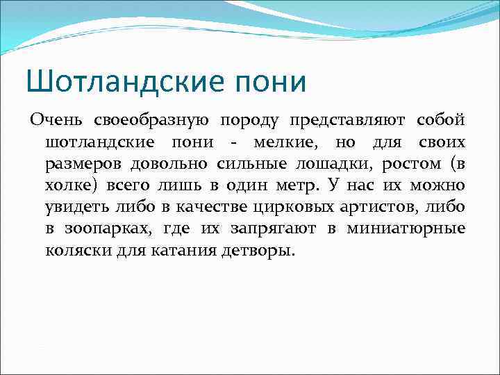 Шотландские пони Очень своеобразную породу представляют собой шотландские пони - мелкие, но для своих
