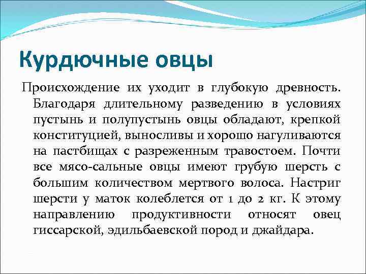 Курдючные овцы Происхождение их уходит в глубокую древность. Благодаря длительному разведению в условиях пустынь