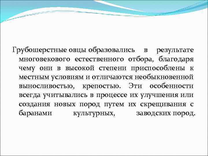 Грубошерстные овцы образовались в результате многовекового естественного отбора, благодаря чему они в высокой степени