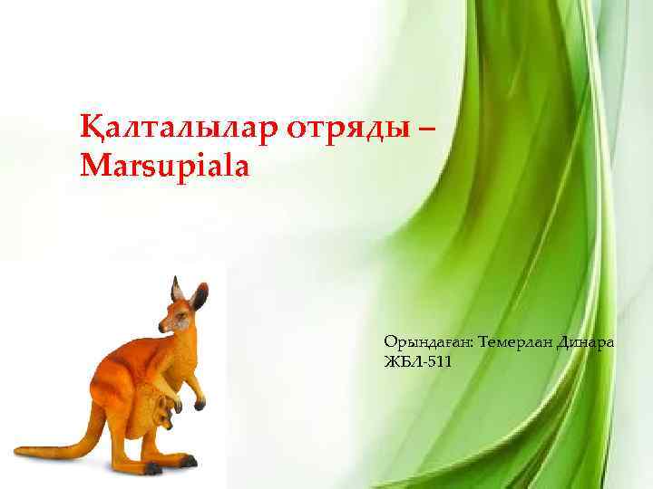 Қалталылар отряды – Marsupiala Орындаған: Темерлан Динара ЖБЛ-511 