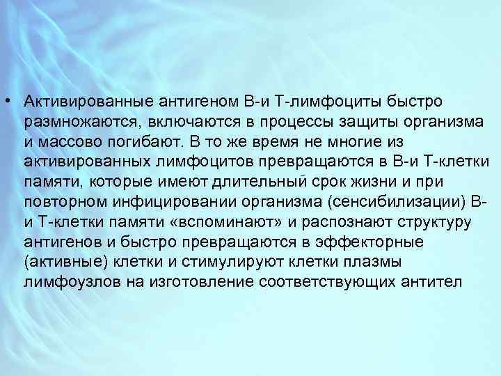  • Активированные антигеном В-и Т-лимфоциты быстро размножаются, включаются в процессы защиты организма и