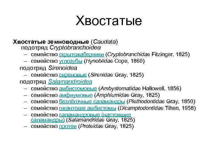 Хвостатые земноводные (Caudata) подотряд Cryptobranchoidea – семейство скрытожаберники (Cryptobranchidae Fitzinger, 1825) – семейство углозубы