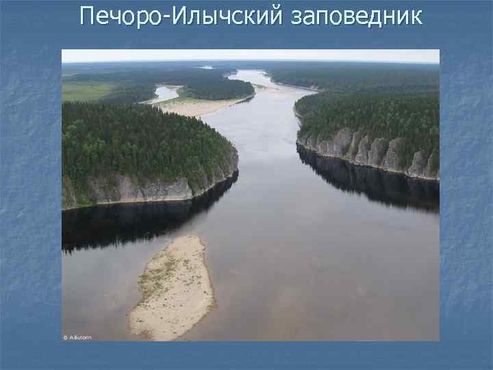 Печоро илычский заповедник работа. Печоро-Илычский заповедник на карте. Карта Печоро Илычского заповедника. Печоро-Илычский заповедник на карте Коми. Печоро-Илычский заповедник границы.