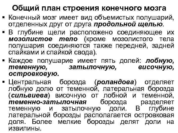 Общий план строения конечного мозга § Конечный мозг имеет вид объемистых полушарий, отделенных друг