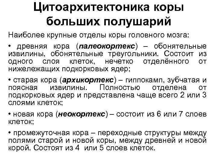 Цитоархитектоника коры больших полушарий Наиболее крупные отделы коры головного мозга: • древняя кора (палеокортекс)