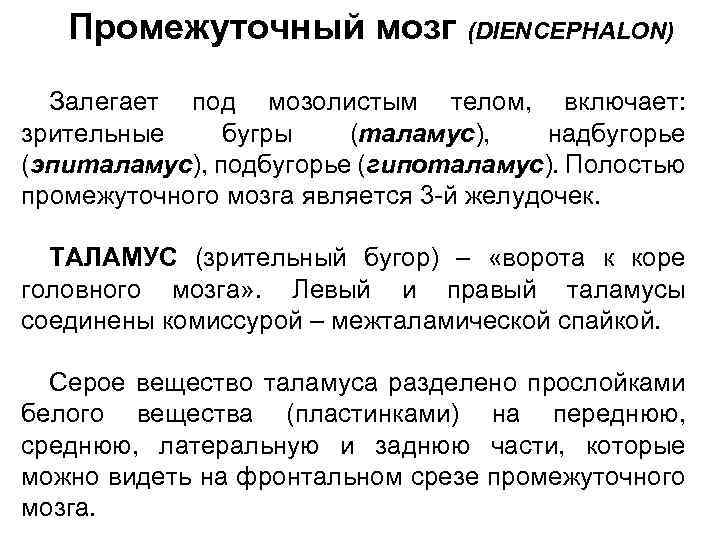 Промежуточный мозг (DIENCEPHALON) Залегает под мозолистым телом, включает: зрительные бугры (таламус), надбугорье (эпиталамус), подбугорье
