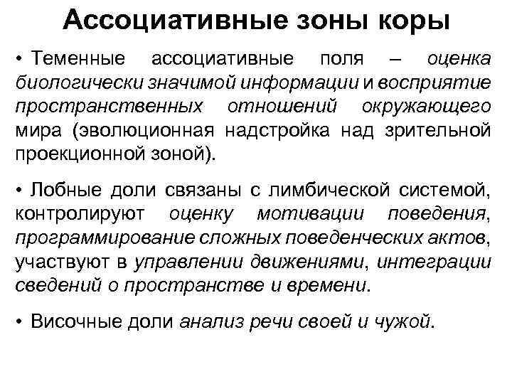 Ассоциативные зоны коры • Теменные ассоциативные поля – оценка биологически значимой информации и восприятие
