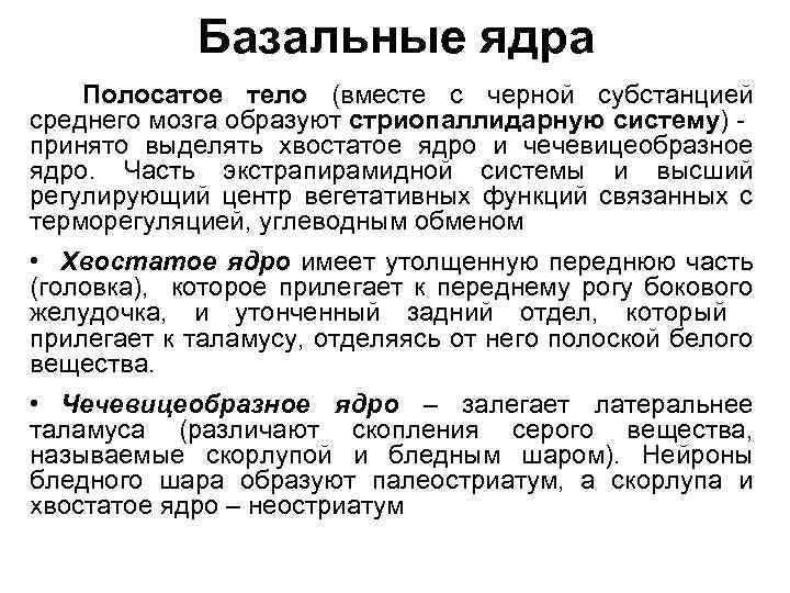 Базальные ядра Полосатое тело (вместе с черной субстанцией среднего мозга образуют стриопаллидарную систему) принято