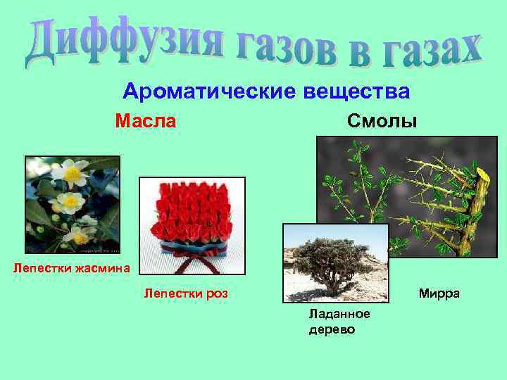 Ароматические вещества Масла Смолы Лепестки жасмина Лепестки роз Мирра Ладанное дерево 