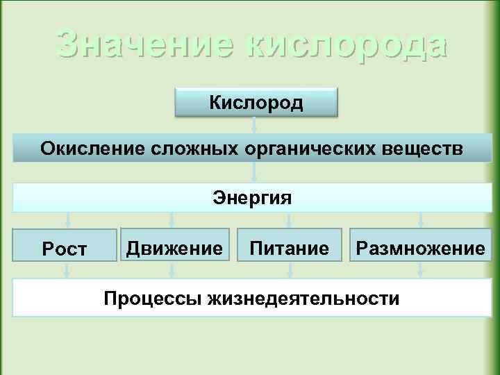 Значение кислорода Кислород Окисление сложных органических веществ Энергия Рост Движение Питание Размножение Процессы жизнедеятельности