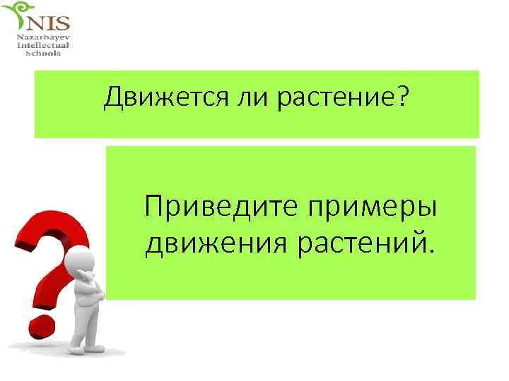 Движется ли растение? Приведите примеры движения растений. 