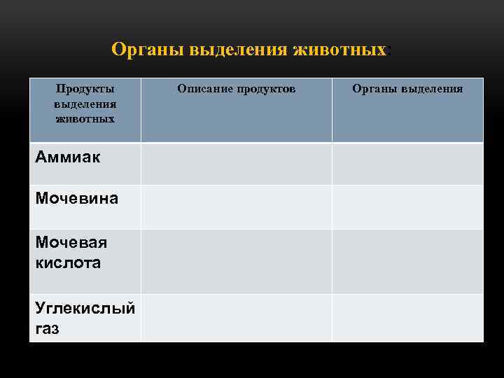 Органы выделения животных: Продукты выделения животных Аммиак Мочевина Мочевая кислота Углекислый газ Описание продуктов