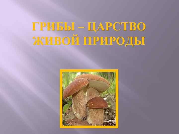 ГРИБЫ – ЦАРСТВО ЖИВОЙ ПРИРОДЫ 