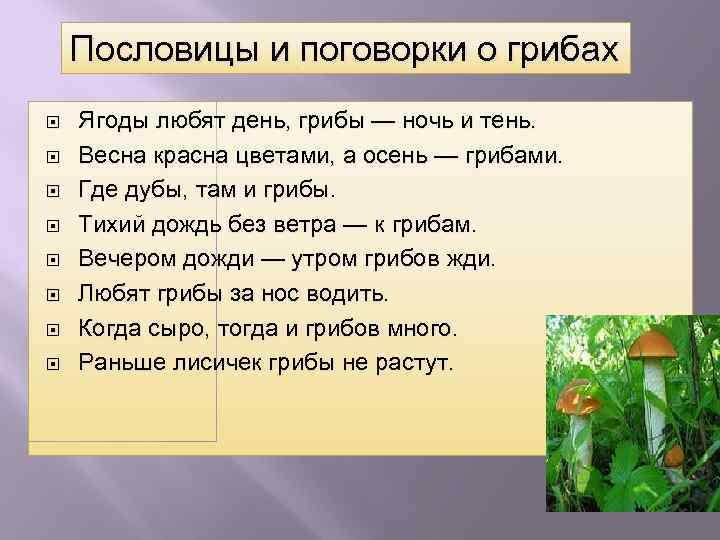 Пословицы и поговорки о грибах Ягоды любят день, грибы — ночь и тень. Весна