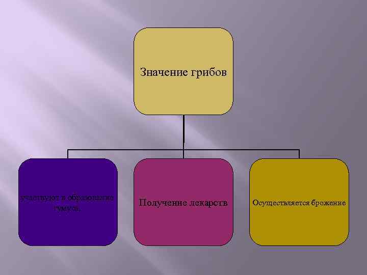Значение грибов участвуют в образование гумуса. Получение лекарств Осуществляется брожение 