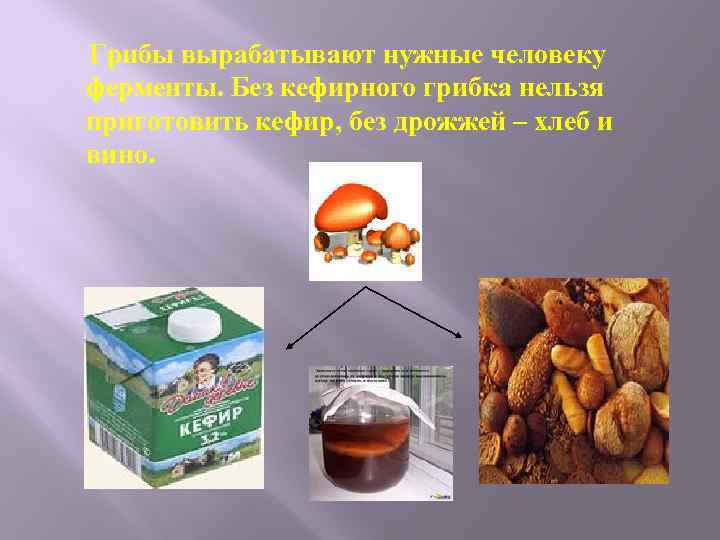 Грибы вырабатывают нужные человеку ферменты. Без кефирного грибка нельзя приготовить кефир, без дрожжей –