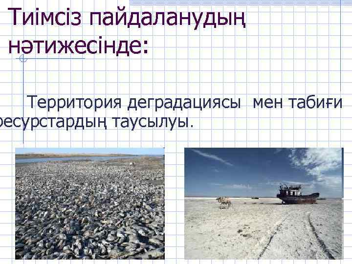 Тиімсіз пайдаланудың нәтижесінде: Территория деградациясы мен табиғи ресурстардың таусылуы. 