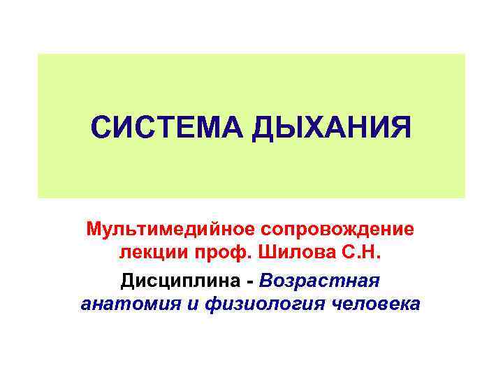 СИСТЕМА ДЫХАНИЯ Мультимедийное сопровождение лекции проф. Шилова С. Н. Дисциплина Возрастная анатомия и физиология
