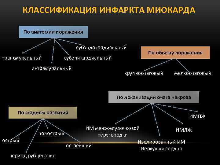КЛАССИФИКАЦИЯ ИНФАРКТА МИОКАРДА По анатомии поражения субэндокардиальный трансмуральный субэпикардиальный интрамуральный По объему поражения крупноочаговый