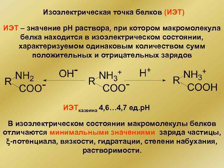 Изоэлектрическая точка белков (ИЭТ) ИЭТ – значение р. Н раствора, при котором макромолекула белка