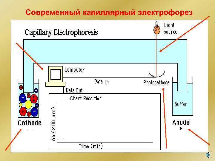 Современный капиллярный электрофорез 