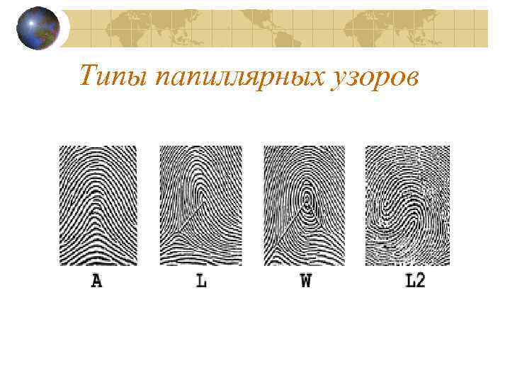 Типы папиллярных узоров 
