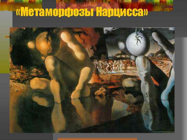  «Метаморфозы Нарцисса» 