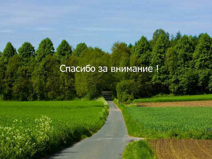 Спасибо за внимание ! 