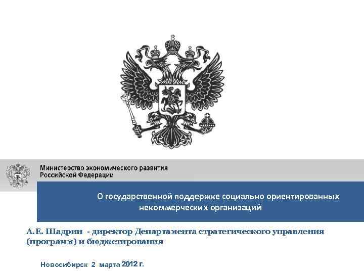 О государственной поддержке социально ориентированных некоммерческих организаций А. Е. Шадрин - директор Департамента стратегического