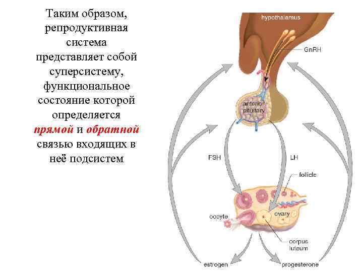 Эцп гму что это