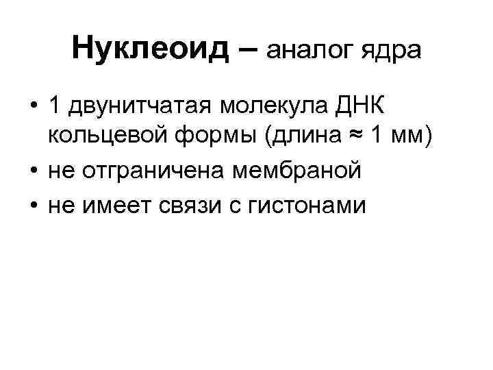 Нуклеоид – аналог ядра • 1 двунитчатая молекула ДНК кольцевой формы (длина ≈ 1