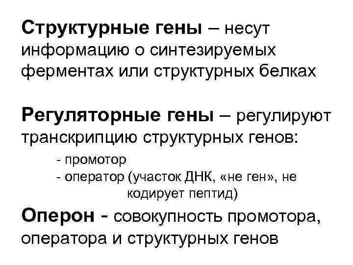 Структурные гены – несут информацию о синтезируемых ферментах или структурных белках Регуляторные гены –