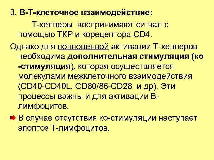 3. В-Т-клеточное взаимодействие: Т-хелперы воспринимают сигнал с помощью ТКР и корецептора СD 4. Однако