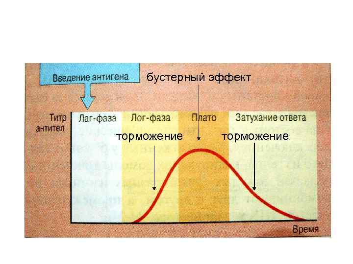 бустерный эффект торможение 