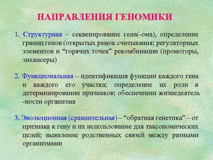 НАПРАВЛЕНИЯ ГЕНОМИКИ 1. Структурная – секвенирование гена(-ома), определение границ генов (открытых рамок считывания; регуляторных