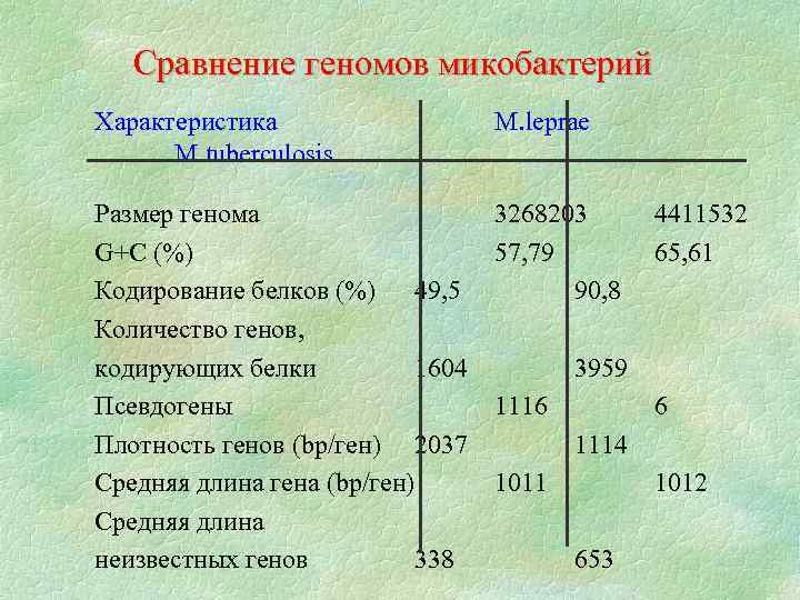 Сравнение геномов микобактерий Характеристика M. tuberculosis M. leprae Размер генома G+C (%) Кодирование белков