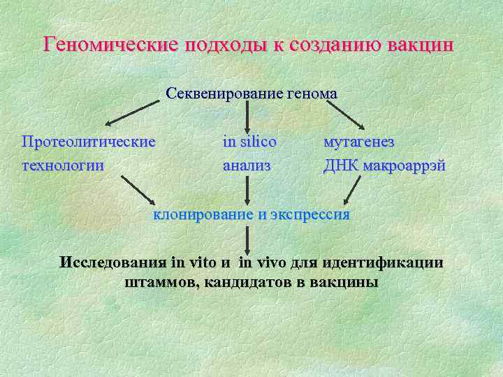Геномические подходы к созданию вакцин Секвенирование генома Протеолитические технологии in silico анализ мутагенез ДНК
