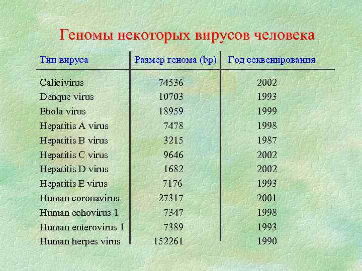 Геномы некоторых вирусов человека Тип вируса Calicivirus Denque virus Ebola virus Hepatitis A virus